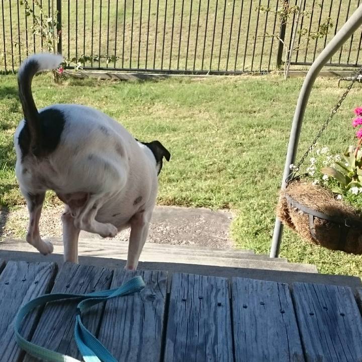 1f036bb1 a752 4708 918b 9d62acf746cc