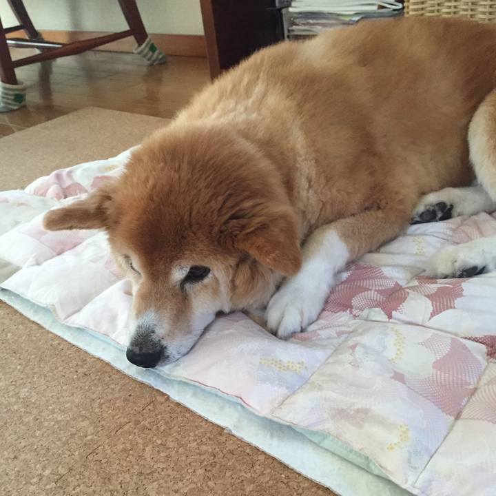 1f03f7a8 74e7 4cde bfca 524acbdbf5fe