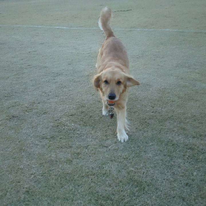 1f0435ed 5ffb 4b17 9ff6 af00c757896f