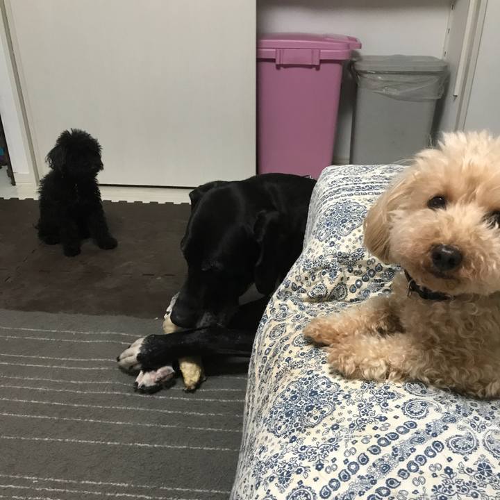 1f04dd63 b150 4b86 963e 5c4e1ab0b372