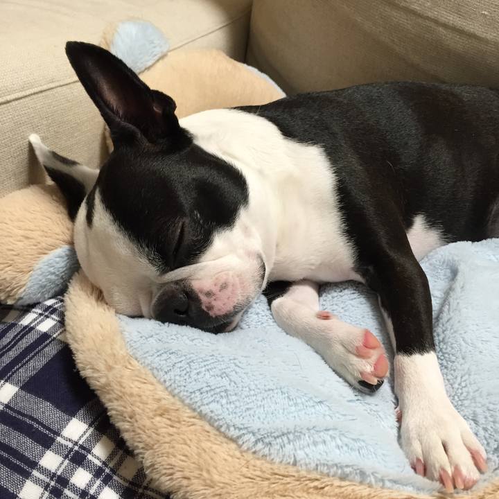 1f058fd2 4940 4e75 a4b1 645c01a62204