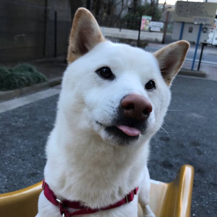 1f062f1b ced8 45d5 bff9 30fad02055e3