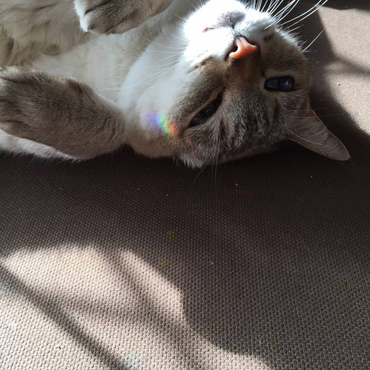 1f066873 faf2 4be0 aa10 ca200105141b