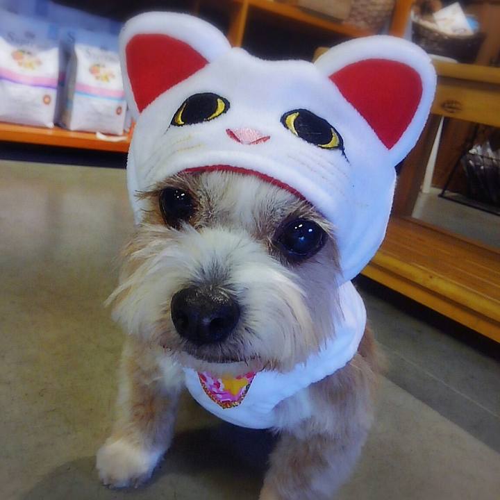 1f067513 386a 415f 83a9 0d1f6a99b1b9