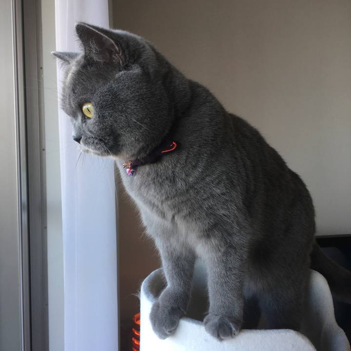 1f06a482 ff36 4325 93b8 8f8a582061b7