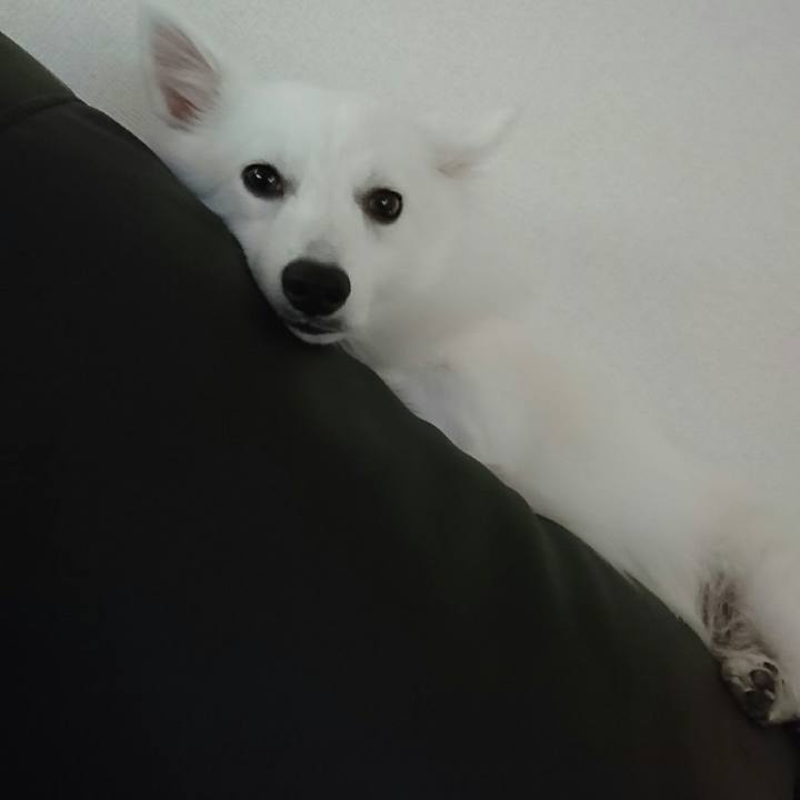 1f0802b1 4834 4a56 a0f9 2f63cf8e3d63