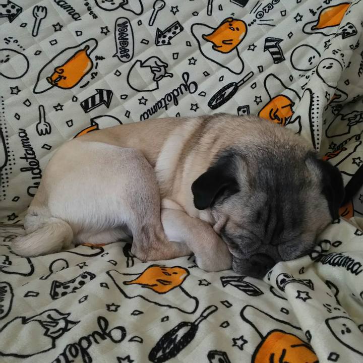 1f080ade 9b73 405f 8933 f4e807c33c41