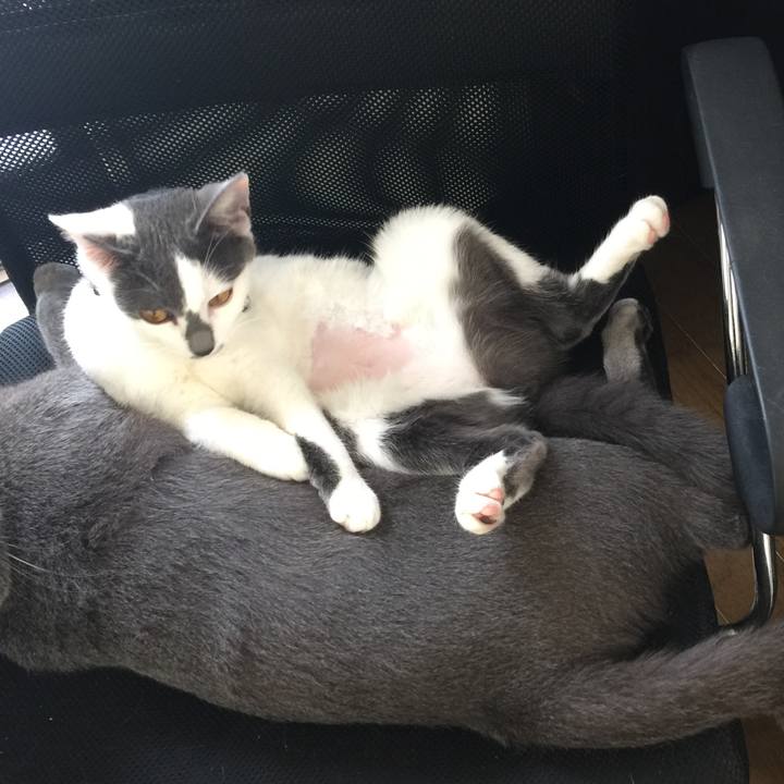 1f081dd2 a425 456a 8ace 5fbd886d16e7