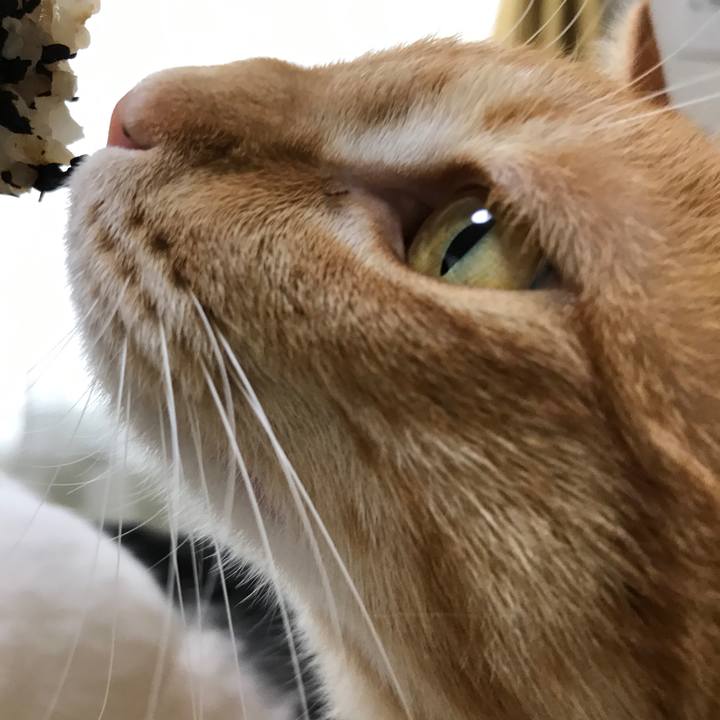 1f0828a4 278f 44a2 a79d b320ca0a2256