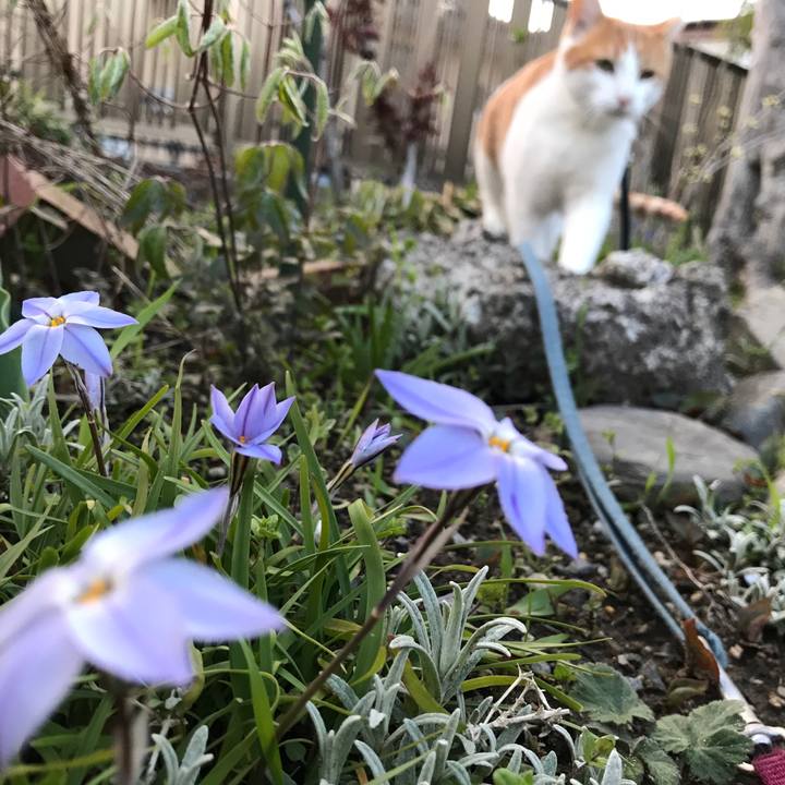 1f08613a c8d3 48b0 aea3 e9fffcb3c96b