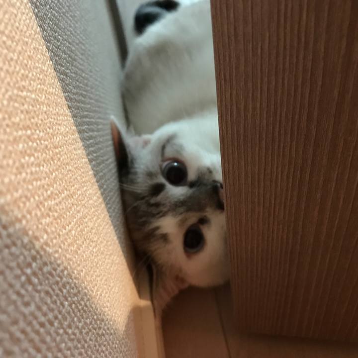 1f08d026 f3b4 473f 97f8 5d503dc063a1