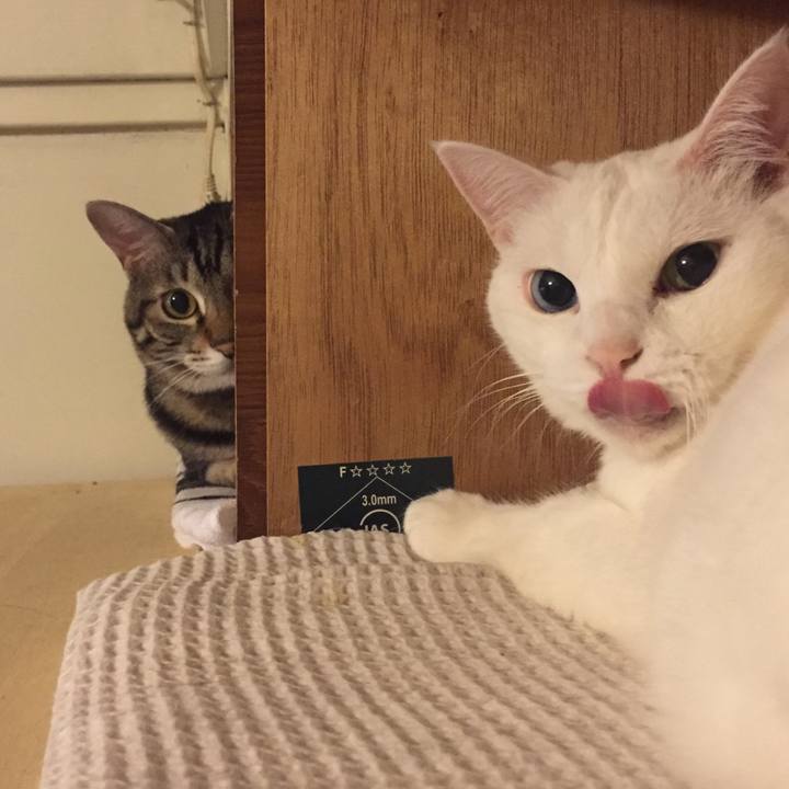 1f094ca6 6287 4e7a 9e2b d4700d05987c