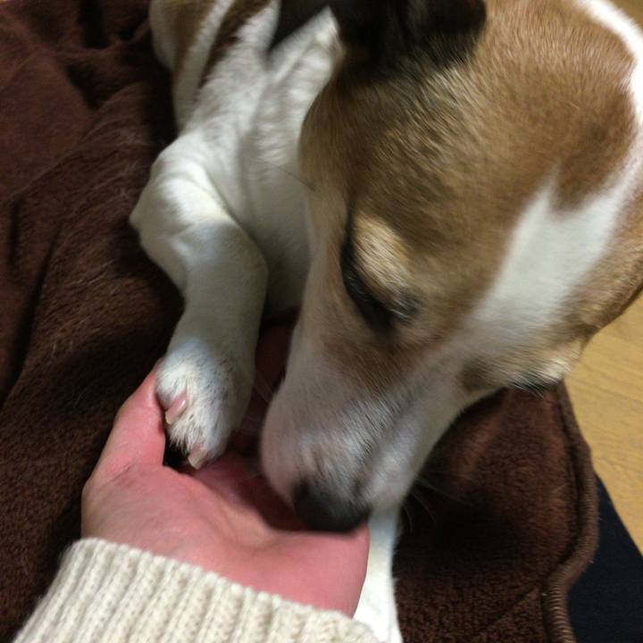 1f097ae2 af3a 4a61 97bb 6c5dc0bf89ce