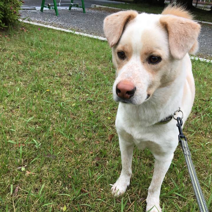 1f09a8f4 aa45 49fe b385 fcf40e6c3265