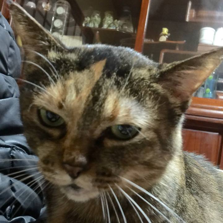 1f0a0afc 2075 47c7 882b 6170ee6cd313