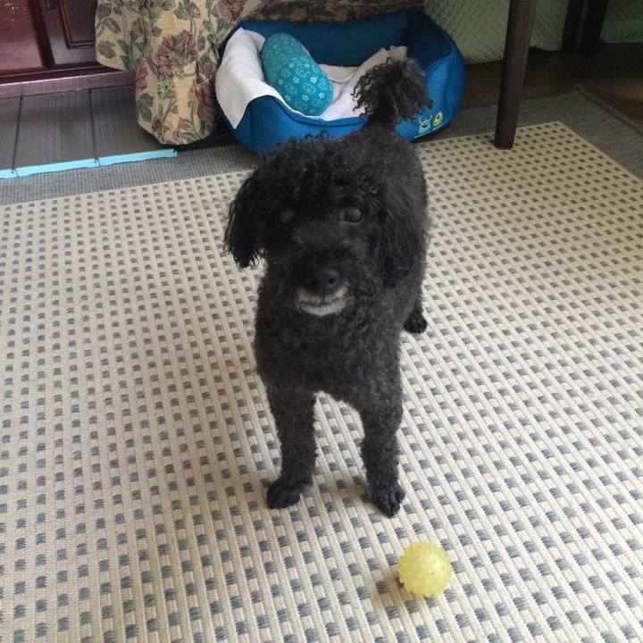 1f0aa6ac fdd6 4daa a404 110db975388a