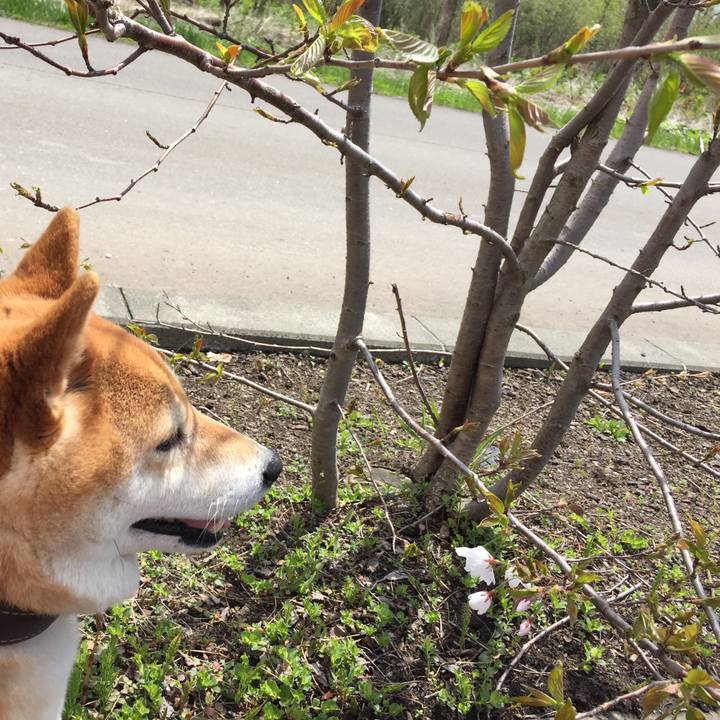 1f0adb69 ceea 42cb 8a83 6351bb4d798e