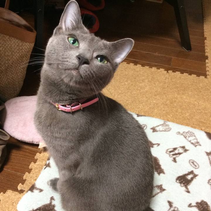 1f0b203d b657 418a a360 8c6d5682d9d8