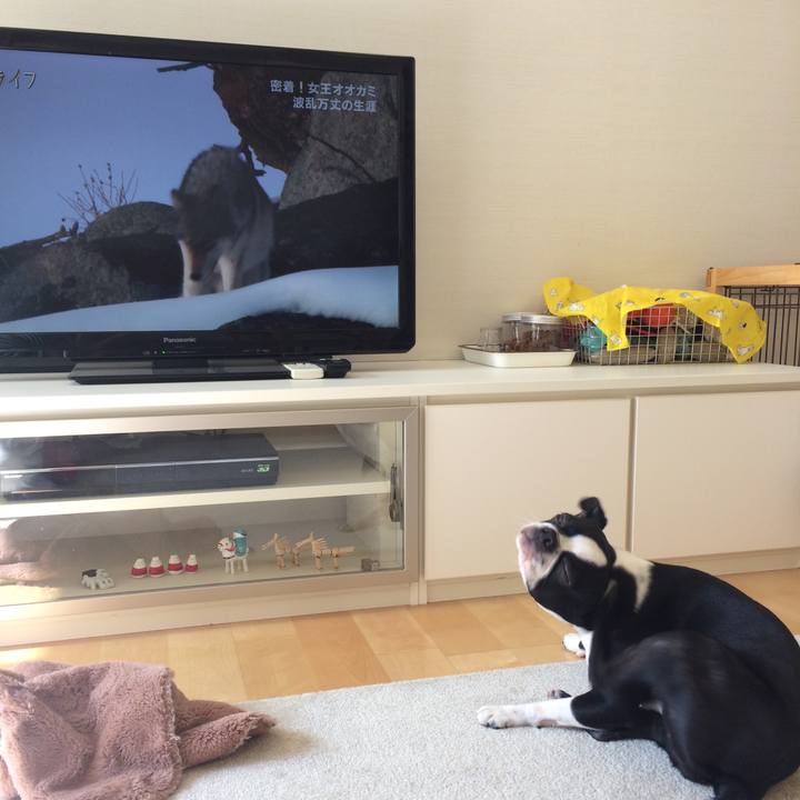 1f0c0ec8 1a7e 4a11 be28 904fa4de4069