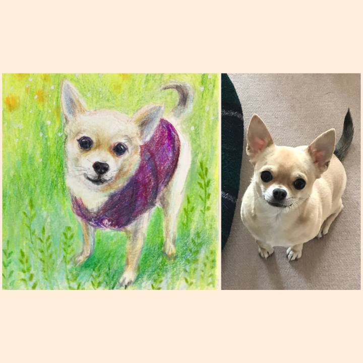 1f0c5031 8df9 4f44 baa8 0c290091cfdb