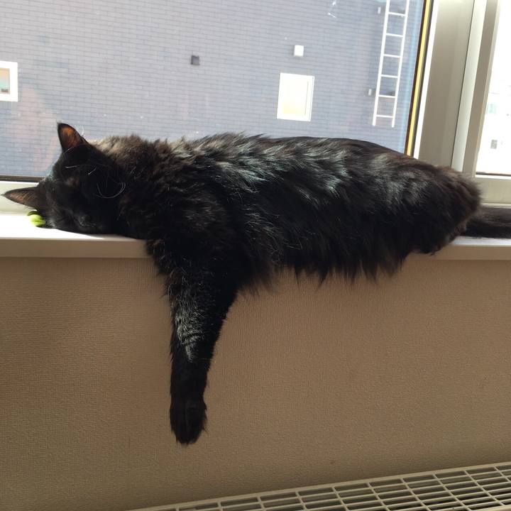 1f0c99f9 2837 4f39 91ad fdb221dab7eb