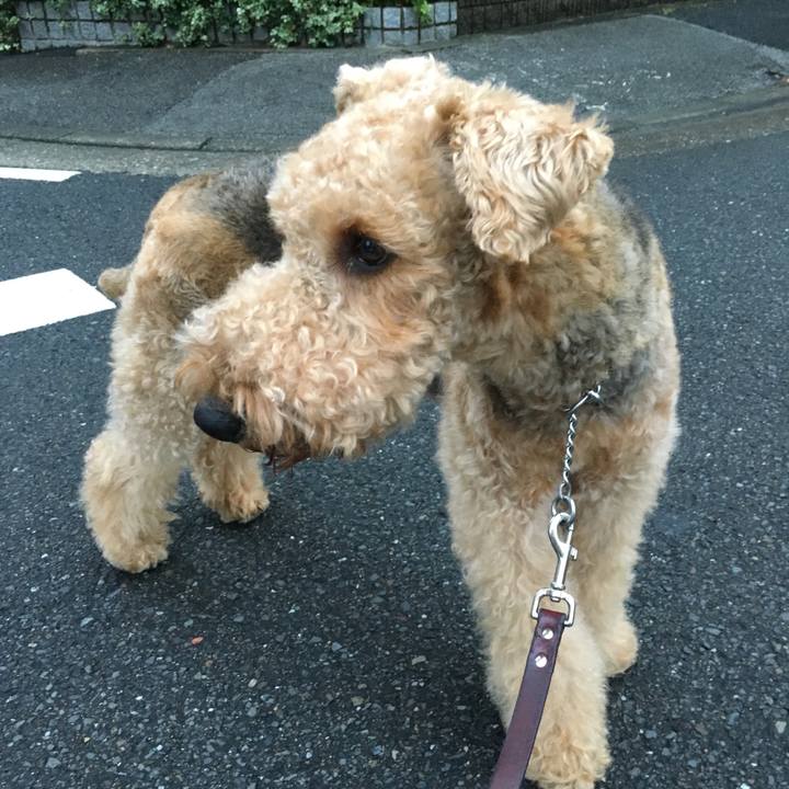 1f0d6114 36a9 4a5a 931a c72d42ec4600