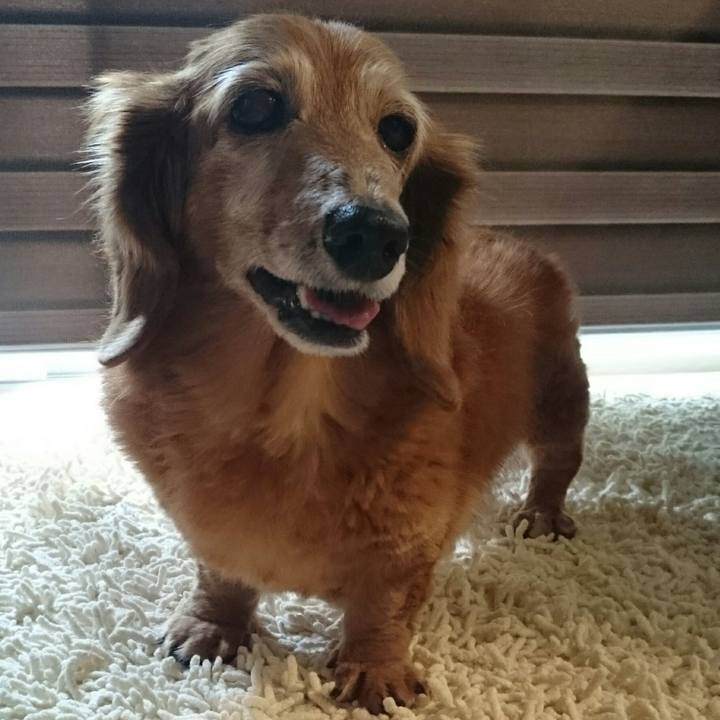 1f0d7c4f bdab 4729 89bf c1352ef5e6f0