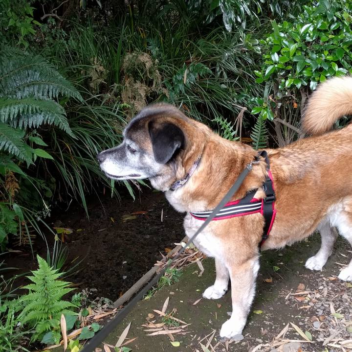 1f0d8297 67e9 40b9 8f25 3743eafde09d