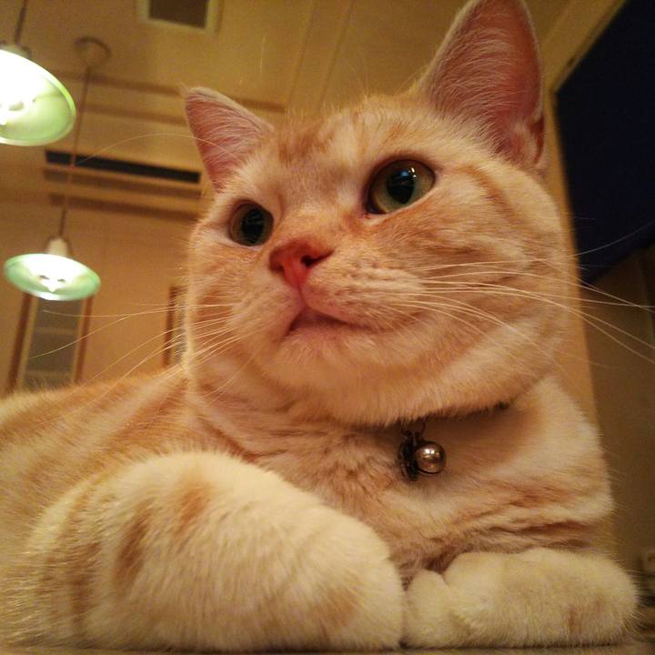 1f0dc35e 651c 45c2 ad1a 659bed965561