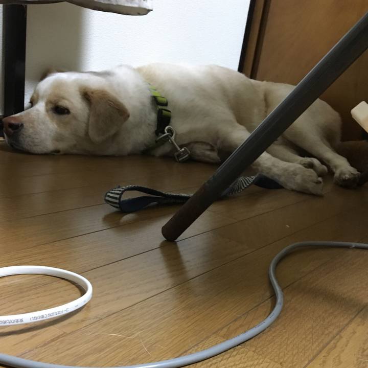 1f0de886 0781 4c6a b377 b26877a8199e