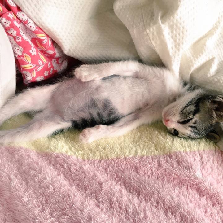 1f0e8345 7bdb 4e5c b76c 684f34c4c50f