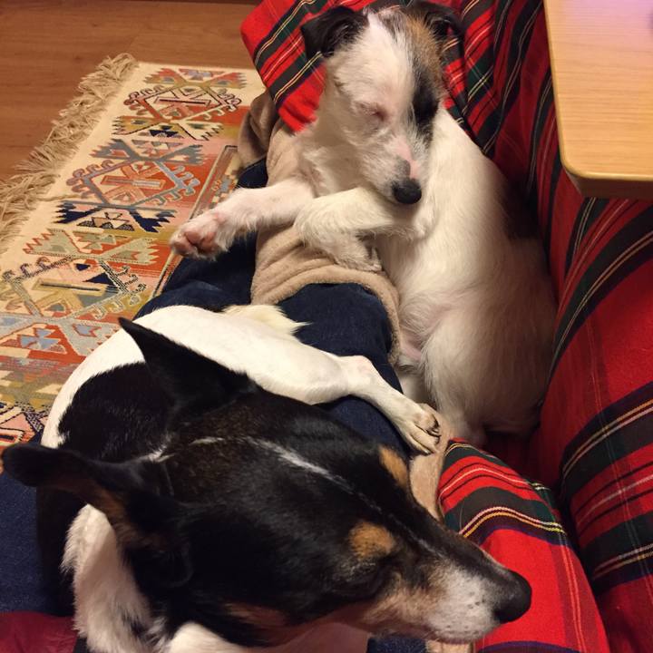 1f100563 99e7 4f00 998f 52fb37418a3a