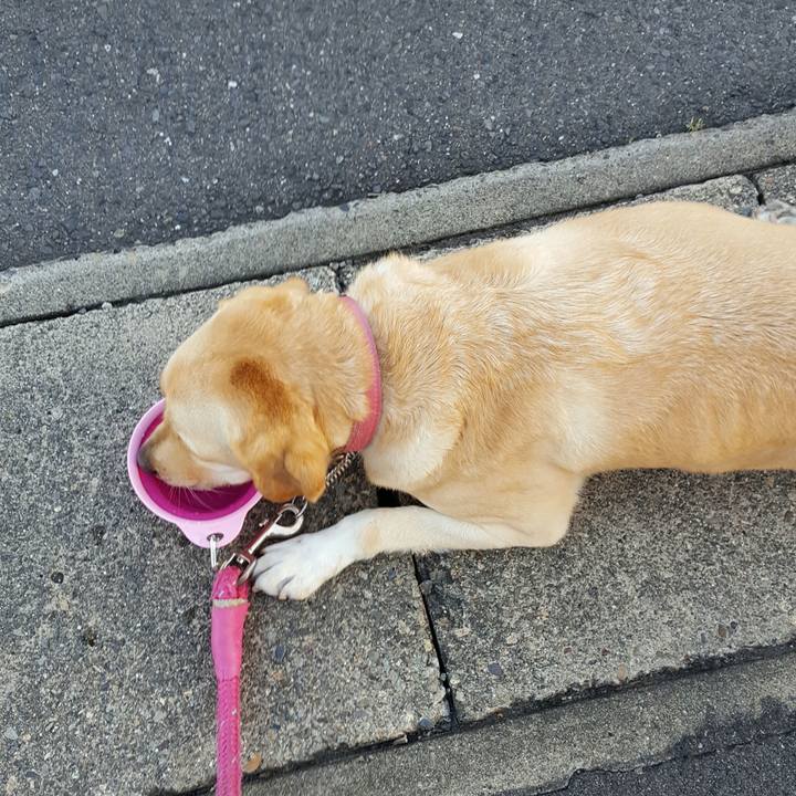 1f105b5d a685 4ad7 b174 4447e0f389aa