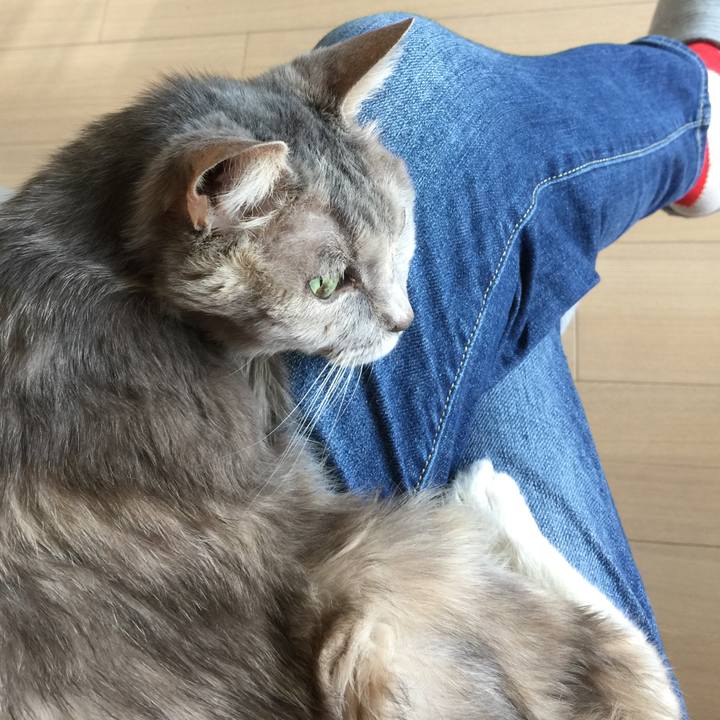 1f1070c3 4147 443b a098 3528a1db1cf4