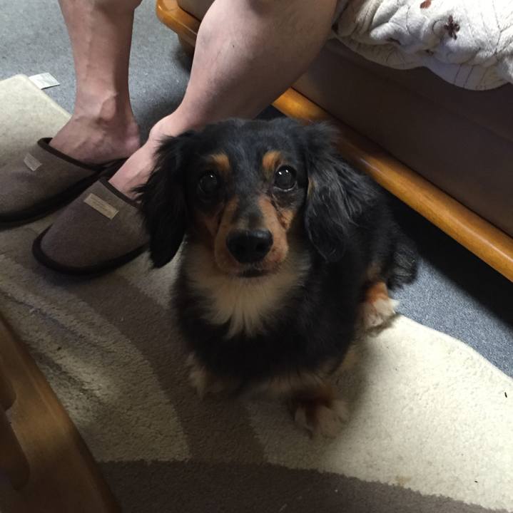 1f10b6e0 b103 4b44 89c2 948dd6a7828f