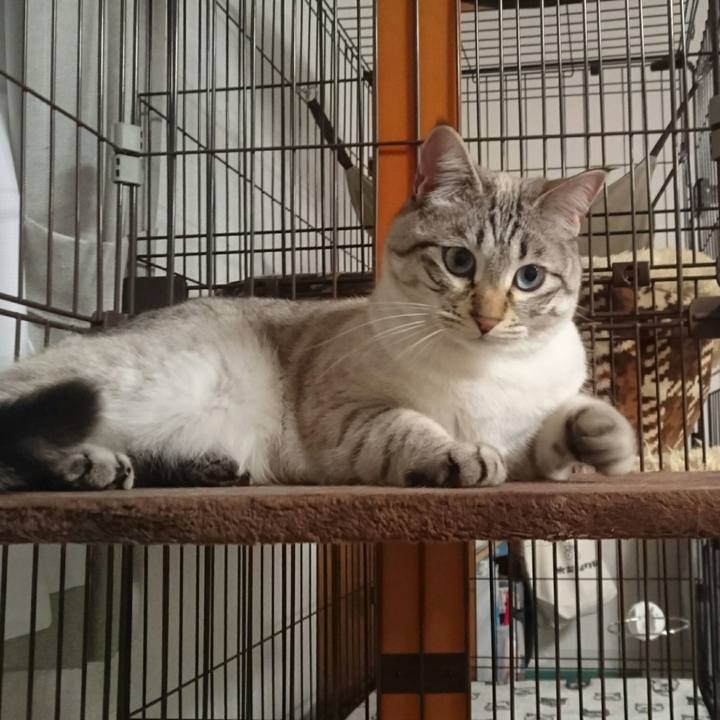 1f10cdf6 0c97 483a 9288 c26c3d3c7ed2