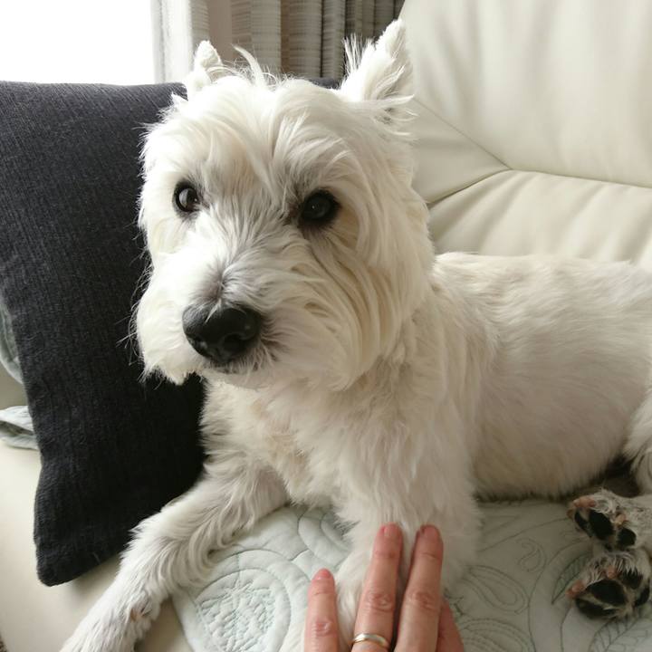 1f110827 b5d4 4f7e a156 a1bfe0ad9616