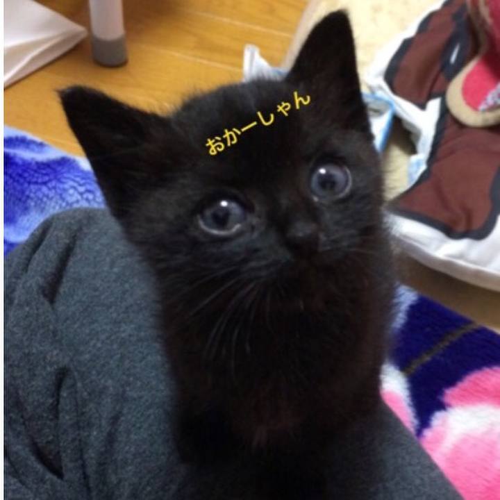 1f115b73 97ce 4544 9996 c772fe775430