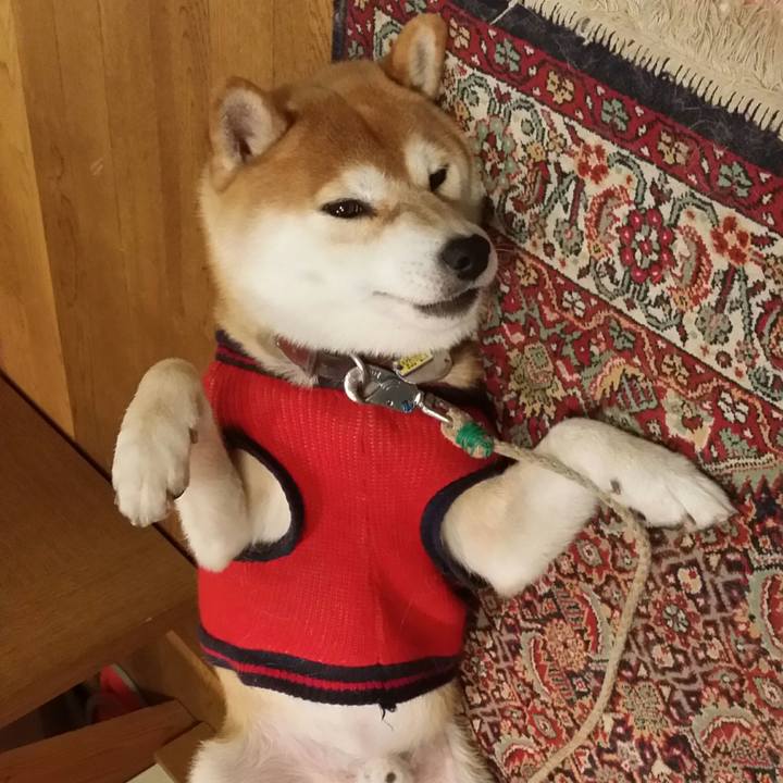 1f119f62 6548 4837 ae03 643f4a6f9e4d