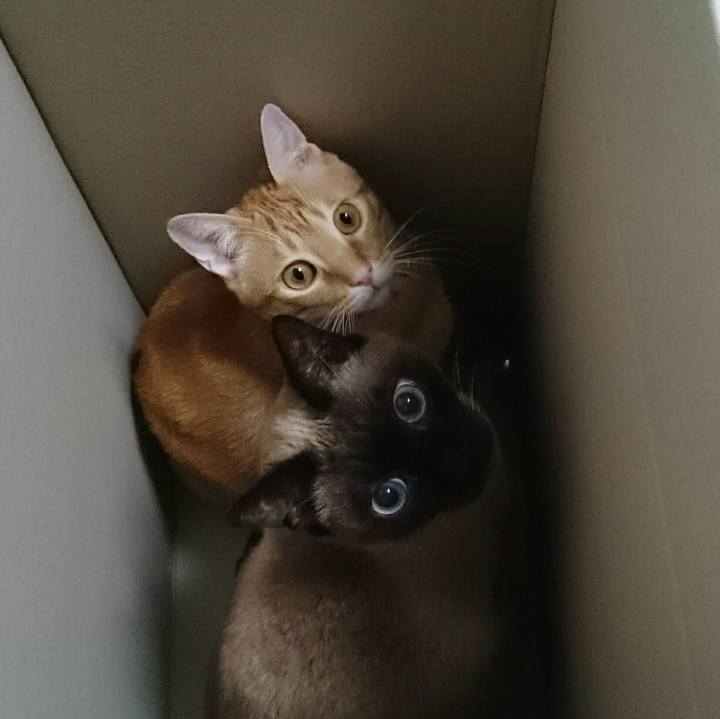 1f11b21d 257d 4666 8147 a4ae1cbfa5bc