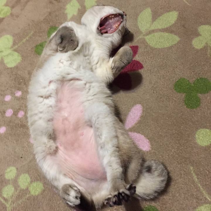 1f135235 3134 40db a632 e18eaac960db