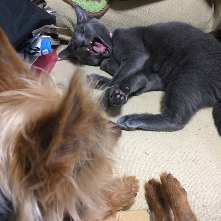 1f1381f4 1014 43c0 b472 528133befe93