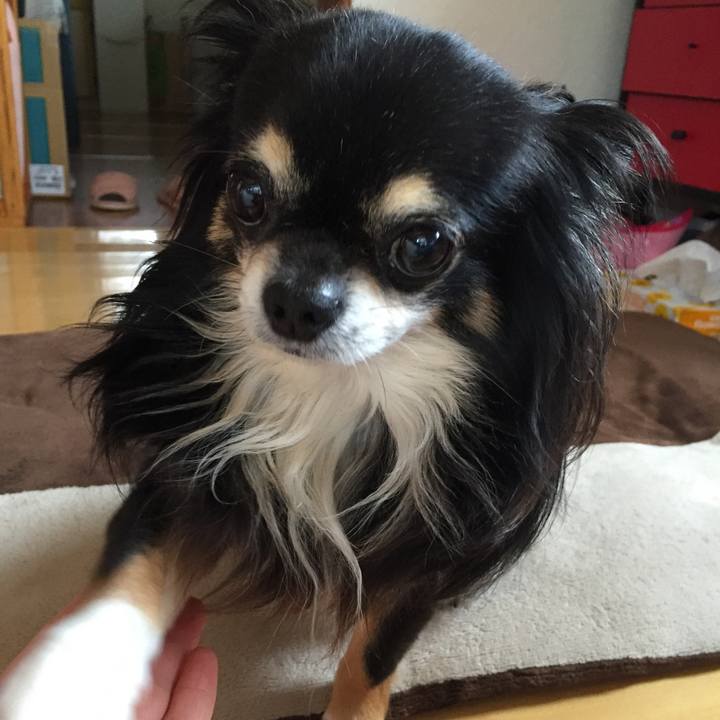 1f13b162 aba5 4f7b a64e 707abb0ac38a