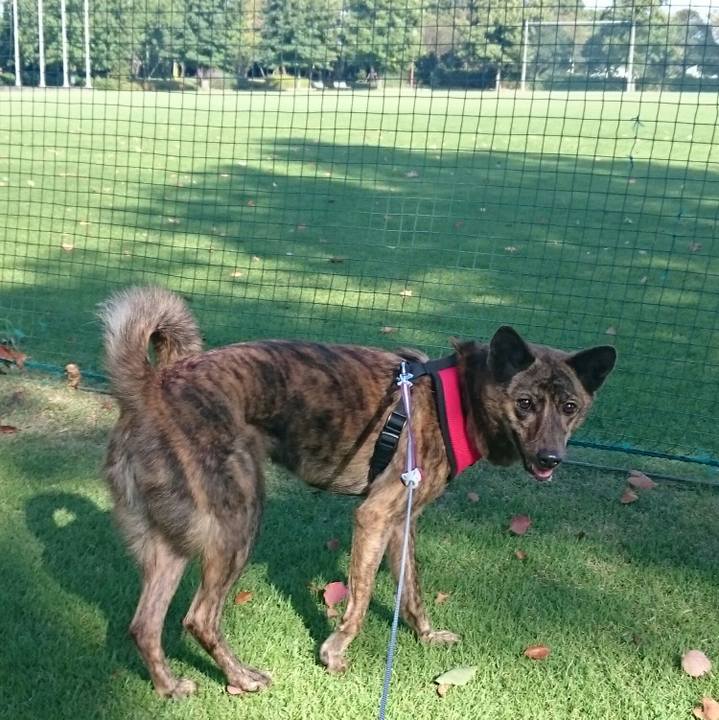 1f14241a 642b 4b75 b99b 801df74b7e1a