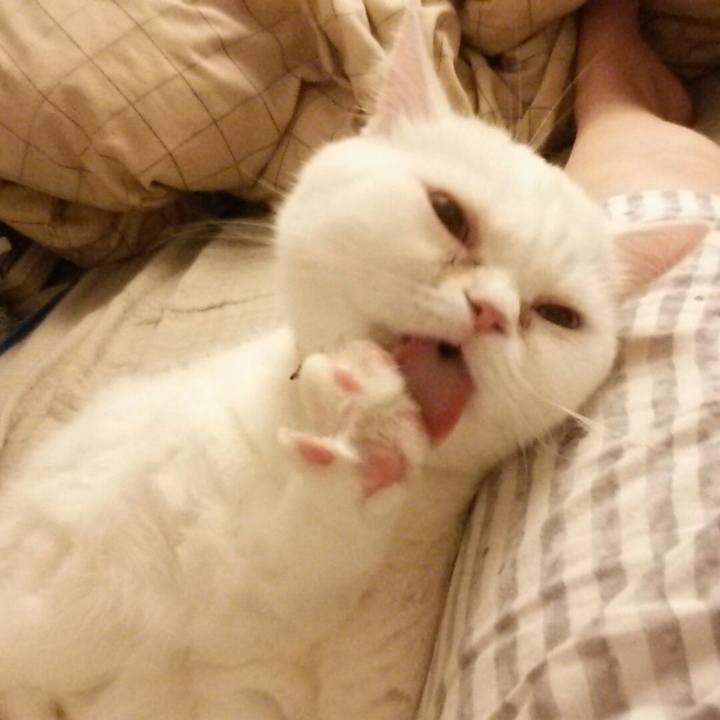 1f142d8b 37da 4302 a12a f44cb0195b1a