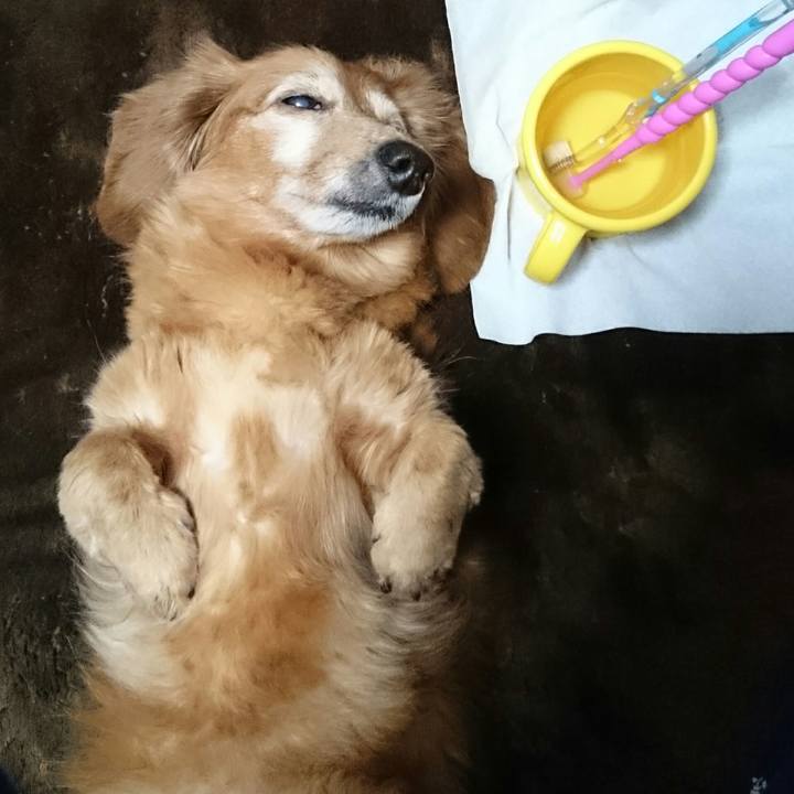 1f146ef1 3fe1 4c48 8288 49e57e53f184