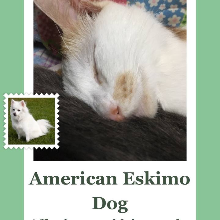 1f14a080 2768 4f58 9878 a3daaf7634df