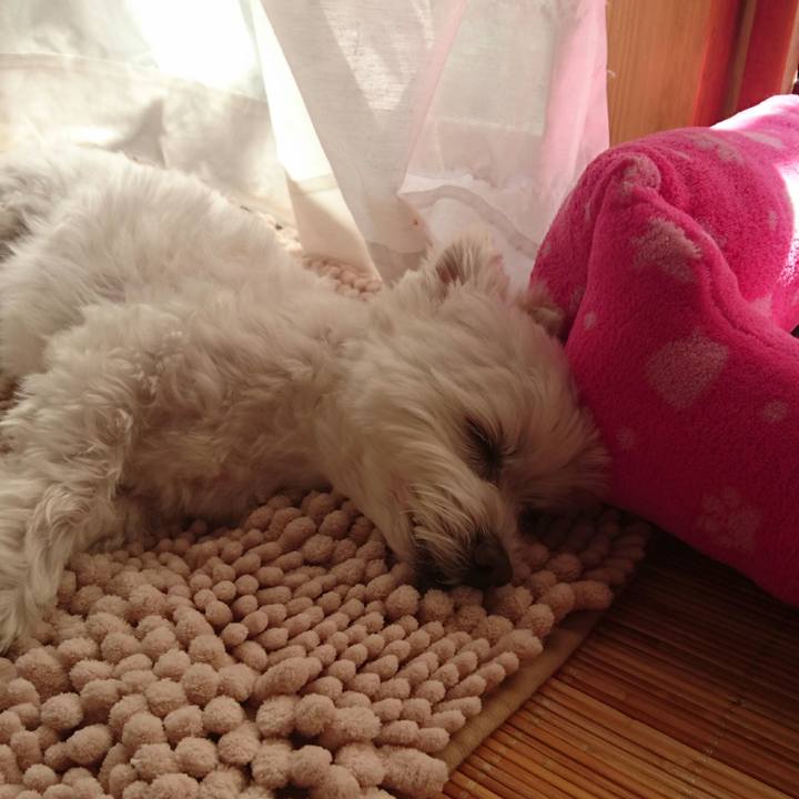 1f14edc1 9fba 48aa a772 de6b85f84fbd