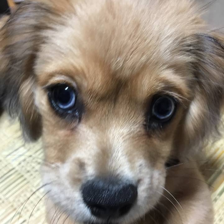 1f14f556 5f07 45da 80d6 bb63368dc39d