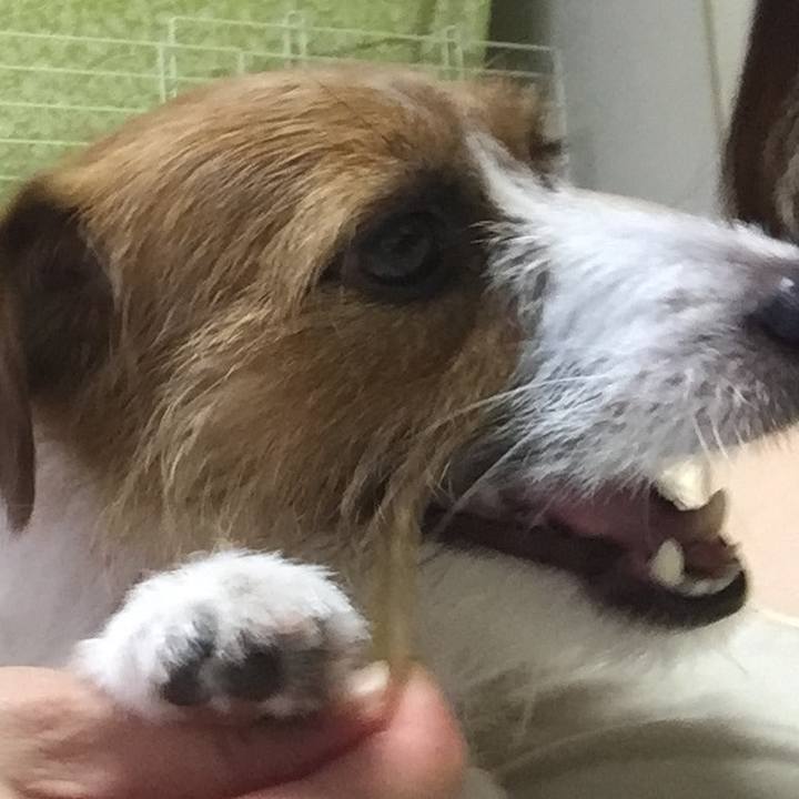 1f1509d7 804c 4b5a 9cdc 64e0986b0adb